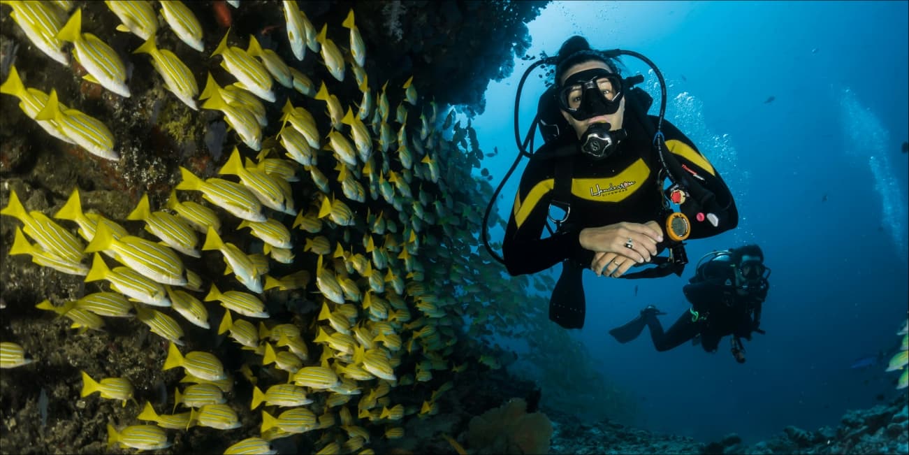 Scuba Diving in Andaman & Nicobar Islands